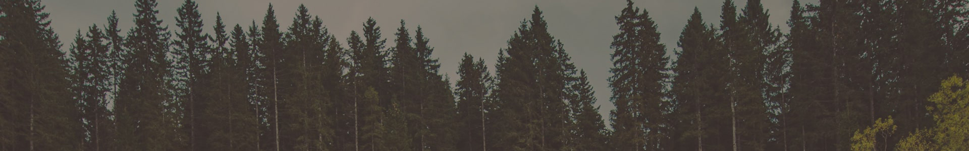 內頁banner